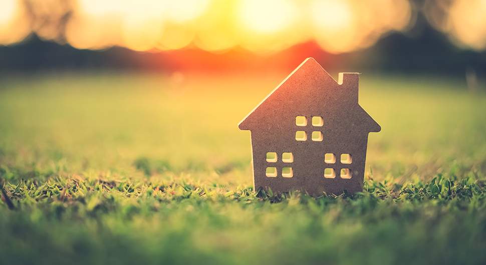 découvrez nos conseils, astuces et solutions pour réussir votre rénovation : travaux, décoration, budget, et tendances. transformez votre espace facilement !