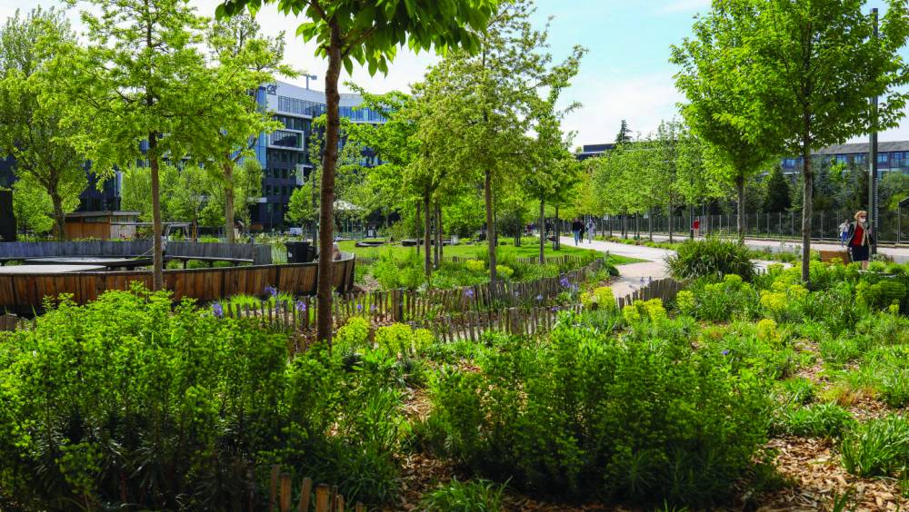 découvrez nos services de rénovation à montrouge en 2025 : travaux de qualité, conseils personnalisés et accompagnement complet pour tous vos projets d'aménagement. obtenez un devis gratuit !